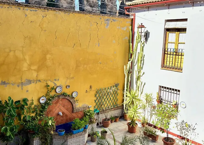 Apartamento El Patio De Wallada Córdova