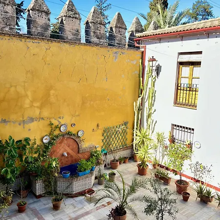 Lejlighed El Patio De Wallada Córdoba